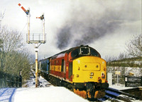 37405