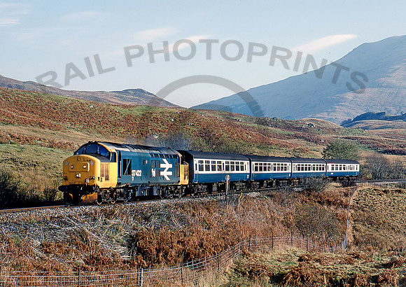 37422-Y-Crianlarich-041188-BR248
