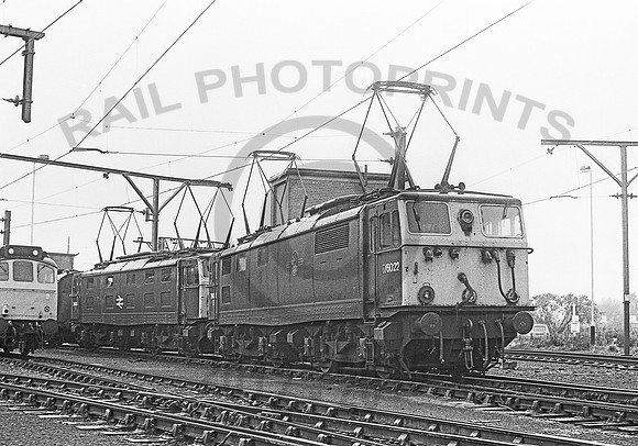 76022-Reddish-230778-JC460