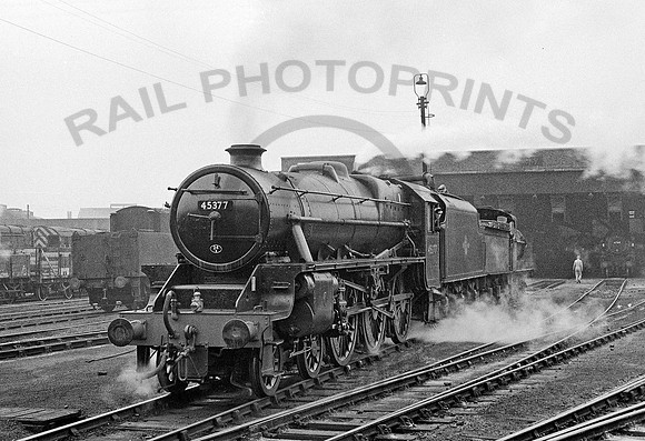 45377 - Warrington Dallam - 021060 HB174