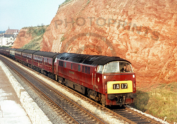 D1035-X-Dawlish-290766-RL173