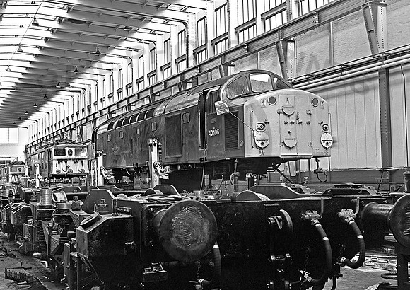 40106-Reddish-070480-JC917