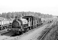 HC Rhos Storefield  140965 HB65P678