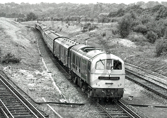 E5007 Petts Wood 270768 RPC