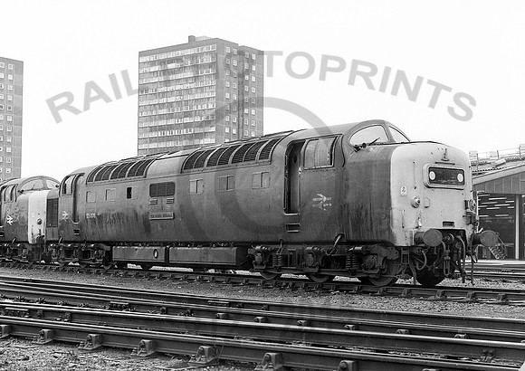 55008-FinsburyPark-020182-JC875