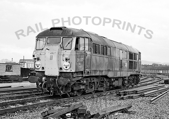 31137-Gloucester-140583-JC236
