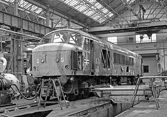45129-DerbyWorks-040481-JC422