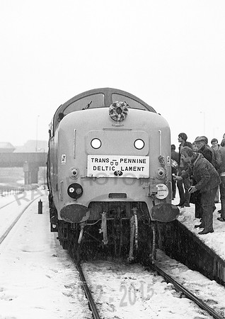 55009-Bradford-271281-JC884
