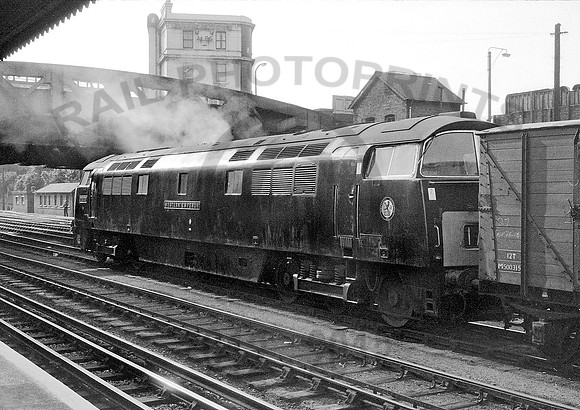 D1036-Y-RoyalOak-200763-RPC339