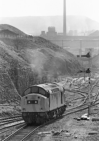 40155-Y-PeakForest-230382-031281-JC557