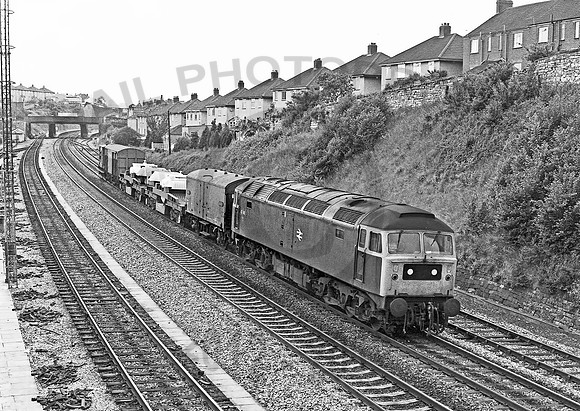 47146-Malago-Vale-200582-JC