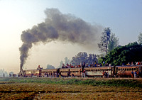 Nepal 'Chandra' 070393 RPE269
