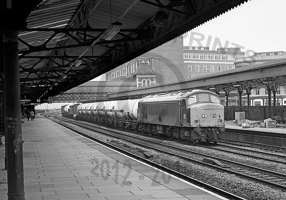 46054-Newport-250480-RP051
