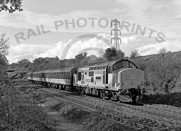 37407-FoxsWood-180495-RP100