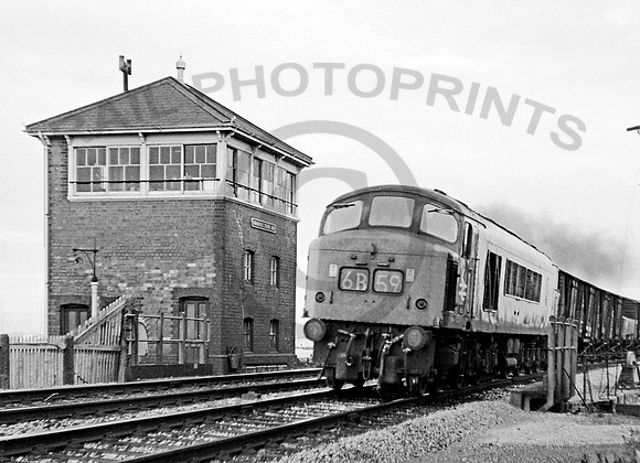 113 Dawlish Warren 230671 JM297 copy