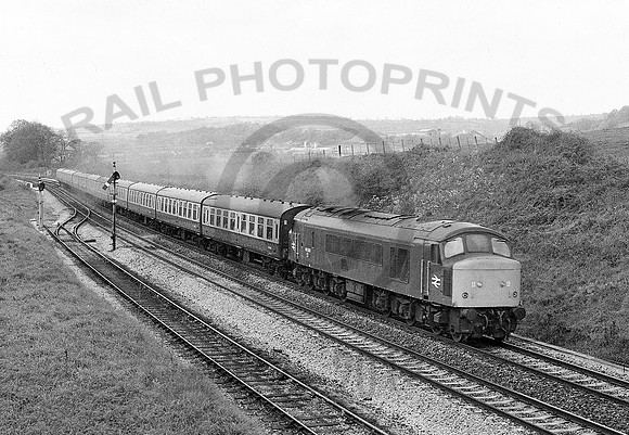 46009-Y-Whiteball-190579-HB932