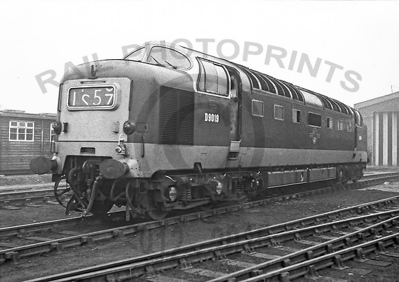 D9019-Doncaster-0362-RPC591