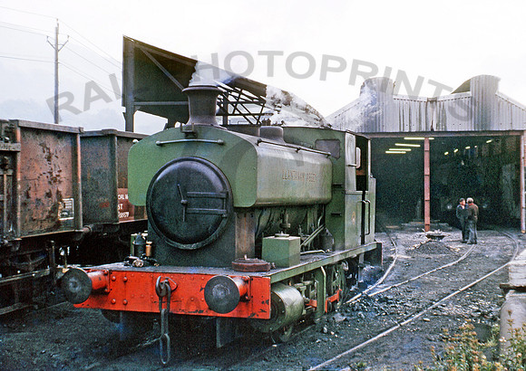 AB2074  Mountain Ash 1172  HB112