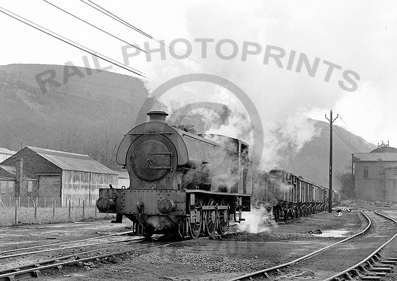 RSH-NCB8-Y-MountainAsh-280379-HB511