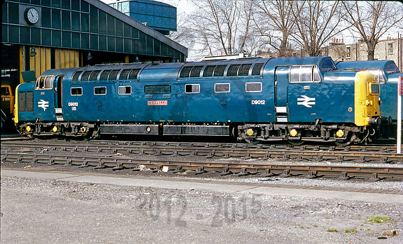 D9012-Y-FinsburyPark-200469-DCC512