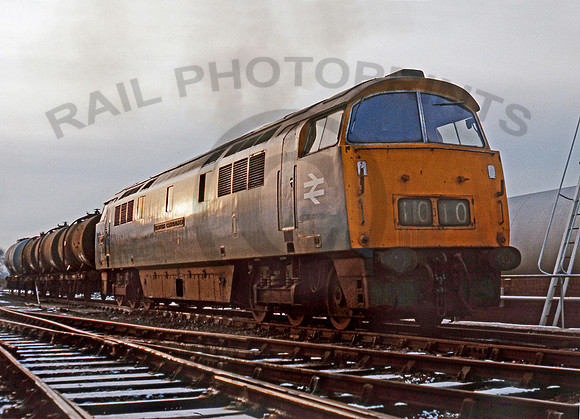 1010-Y-Westbury-150177-JC498