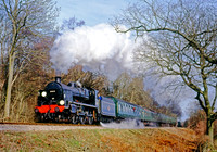31625 Medstead Bank 020397 BR439