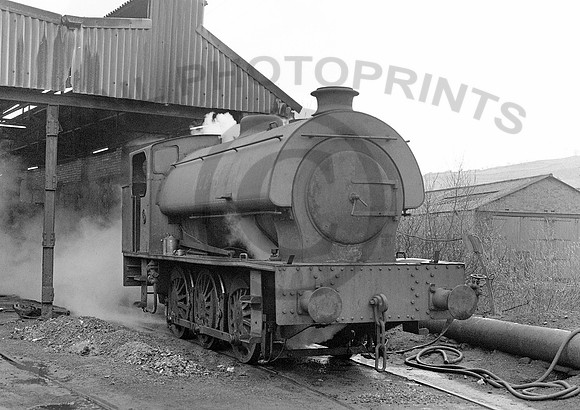 RSH-NCB8-Y-MountainAsh-280379-HB510