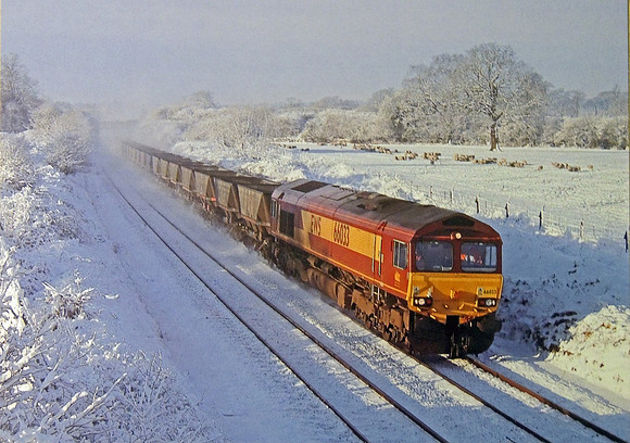 66033