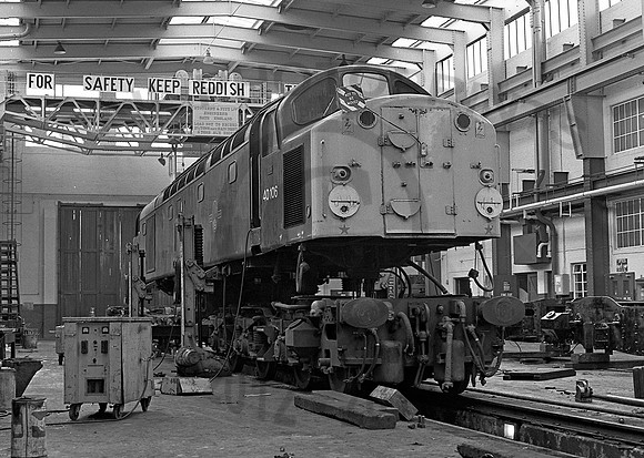 40106-Reddish-070480-JC910