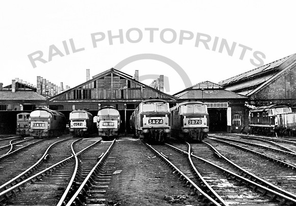 Swindon shed 1966 RPC785