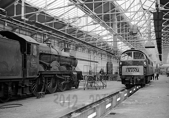 7020-Y-OldOakCommon-0862-RPC902