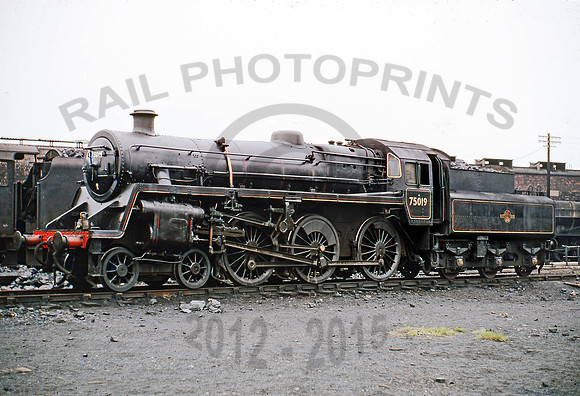 75019 Rose Grove 1968 RPC277