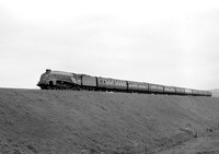4498  Monkton in Came Halt 040667  HB67D719