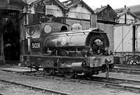 51231 Pugs Southport 140298 BR402