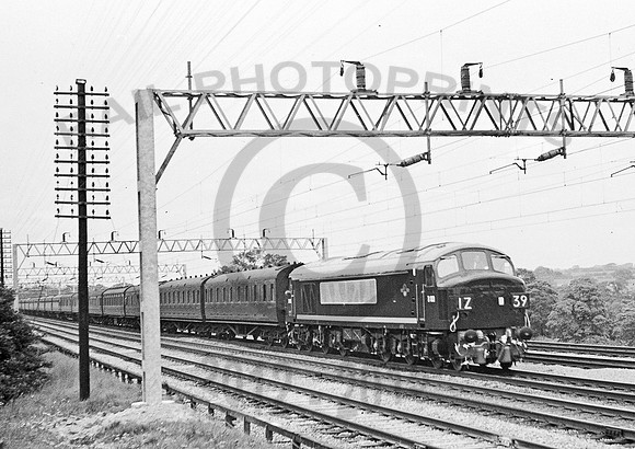 D103 Weaver 0561  RAW170