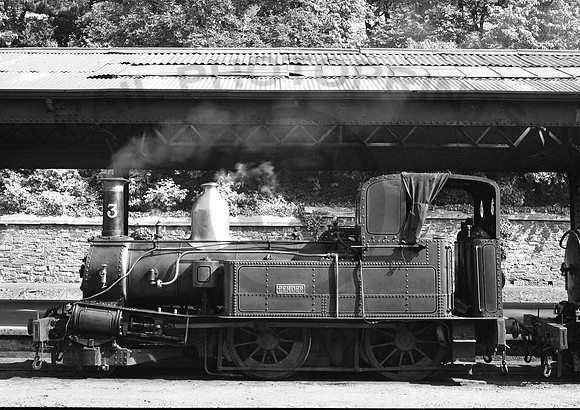 3 'Pender'  Douglas 250657 GL782
