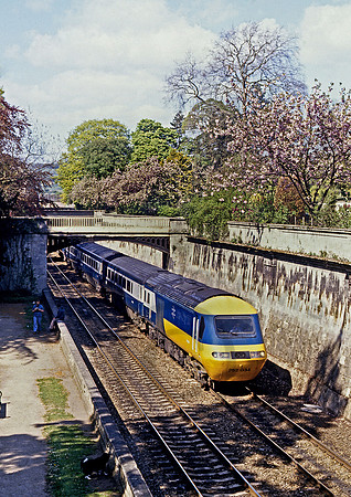 253034-SidneyGardens-290482-JC485