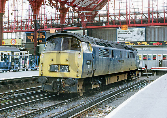 D1037 Brighton 0772 RPC379