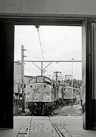40018 Reddish 080681 JC566