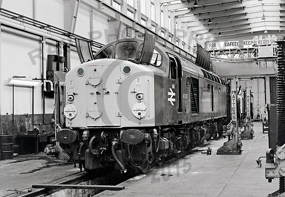 40087 Reddish 080681 JC568