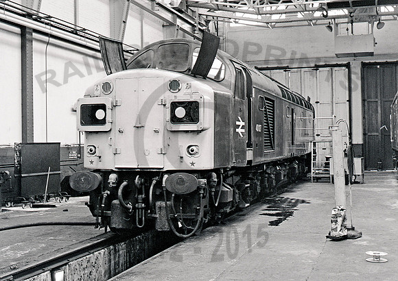 40127 Reddish 080681 JC569