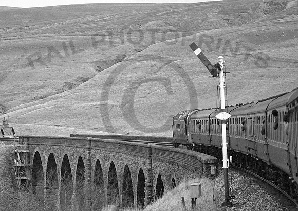 55015-DandryMire-051281-JC892