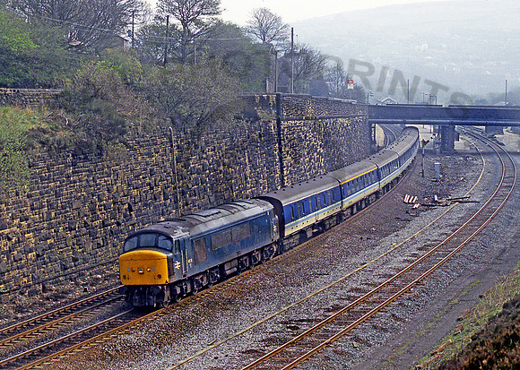 45111-Y-Marsden-250487-JC065