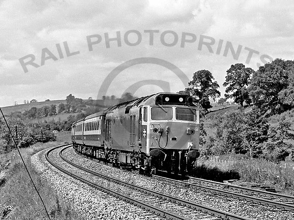 50026-Bruton-240678-JC