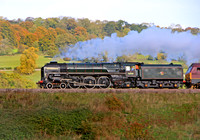 71000-Y-NJewtonMeadows-271010-JC7116_edited-1