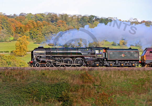 71000-Y-NJewtonMeadows-271010-JC7116_edited-1