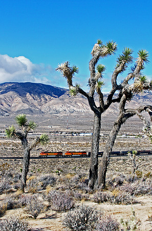 BNSF 4021 Warren 130207 JC163