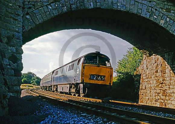 1026 Savernake 250875  DM881