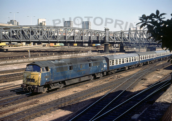 D1022 Ranelagh 110876 DM169-27