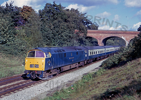 1013  Reading 280974 DM108-31
